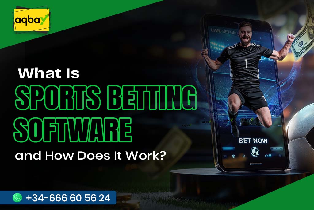 What Is Sports Betting Software and How Does It Work